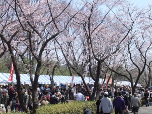 20230313_「2023町田さくらまつりウィーク」