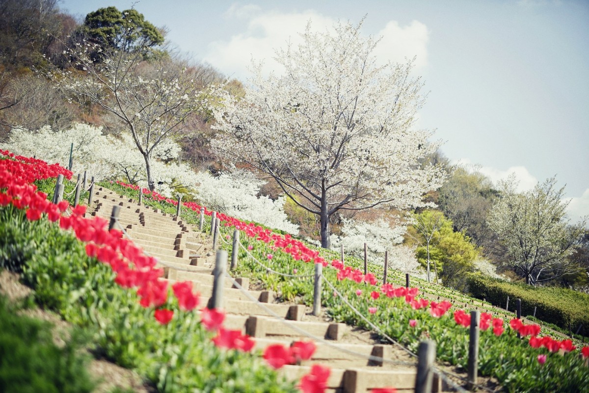 「GARDEN FEST 2023 -Spring-」