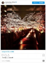 幻想的な“雨の夜桜”と　※「土屋太鳳」インスタグラム