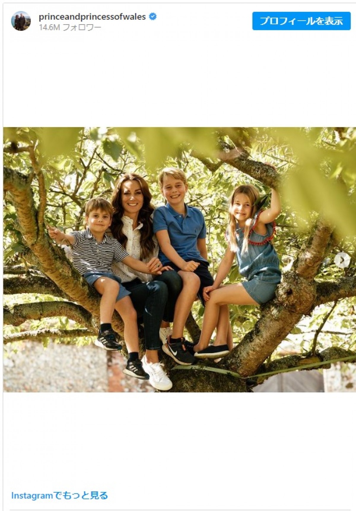 キャサリン妃、子どもたち3人と木登り　イギリスの母の日を祝うフォト公開