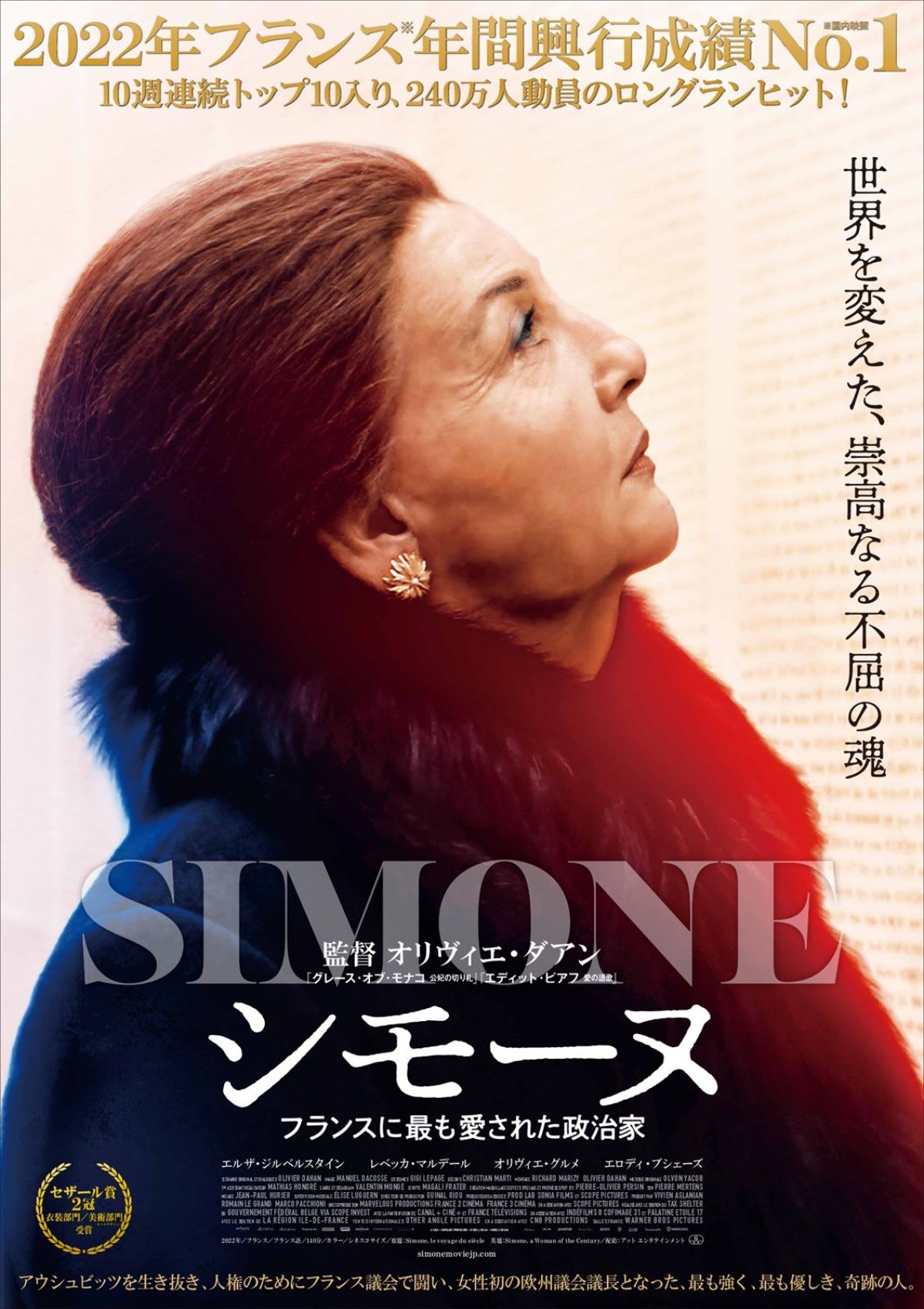 映画『シモーヌ フランスに最も愛された政治家』ポスター