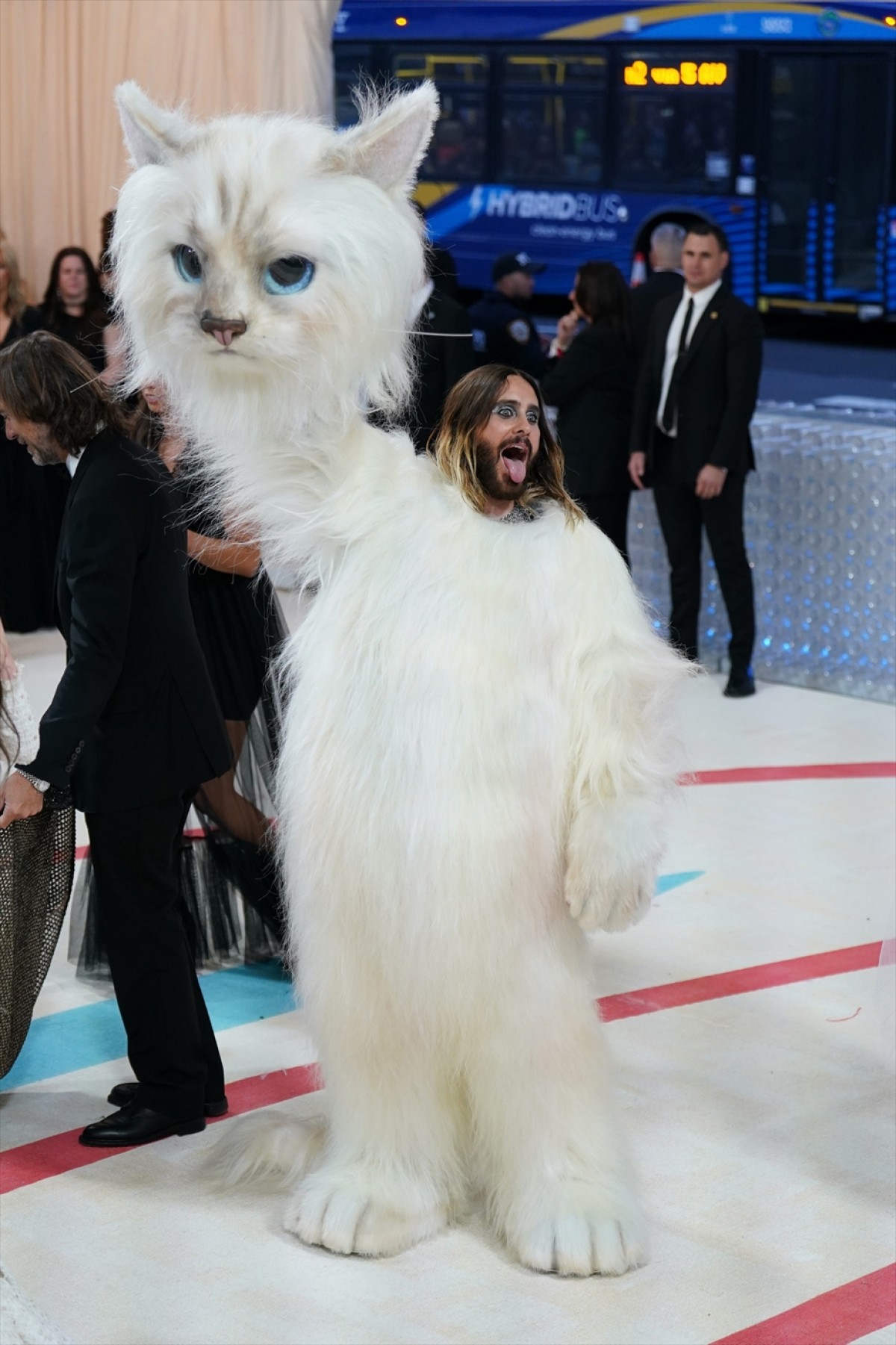 え、猫！　メットガラに現れた巨大“猫ルック”に「大優勝！」「わかってる」と大反響