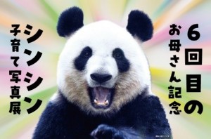 HAPPY PANDAFUL DAYS