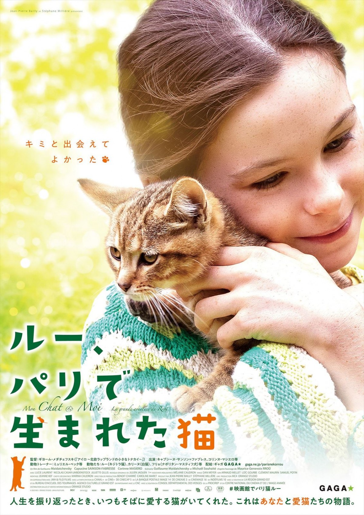 ＜世界猫の日＞『ルー、パリで生まれた猫』“猫LOVE”満載の予告編2種＆猫チラシ解禁