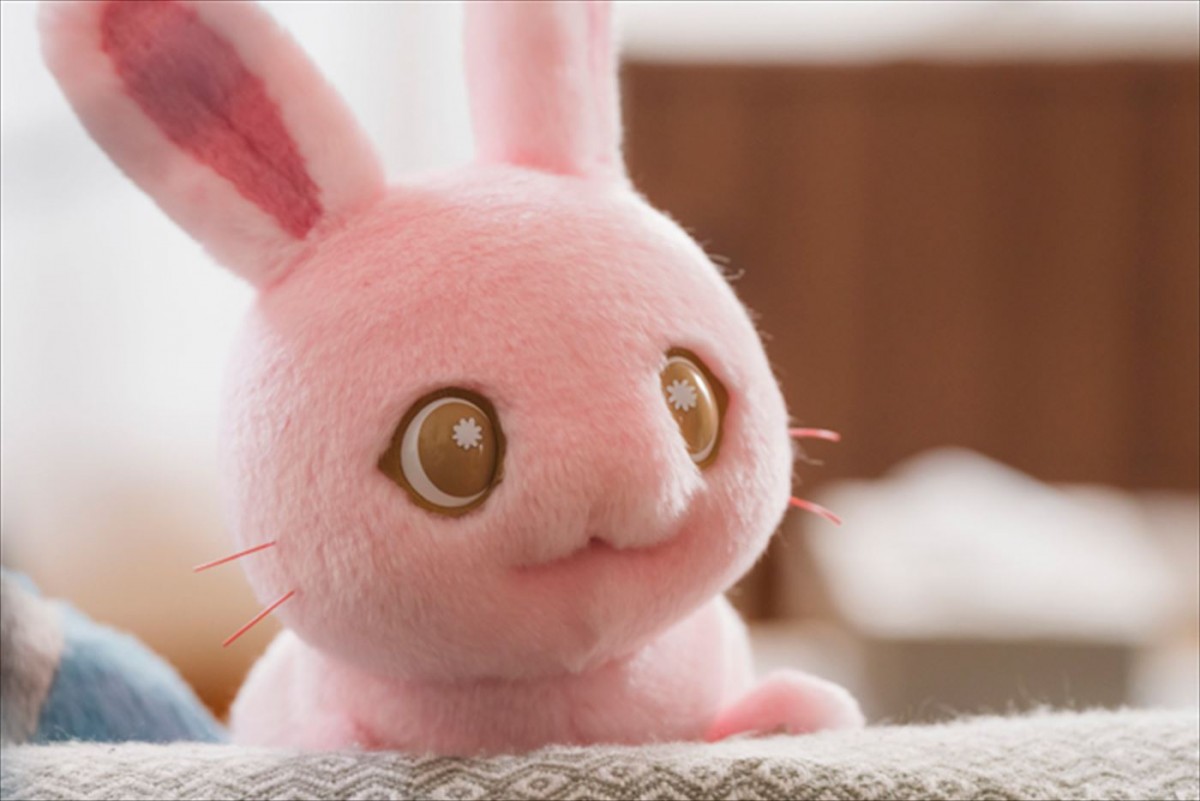 『ぼさにまる』が実写ドラマ化＆PV公開！　上白石萌音がアニメに続き主人公さくらに