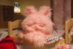 ドラマ『ぼさにまる』より“ぼさうさ”のさくら