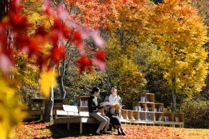 20230908「紅葉図書館」