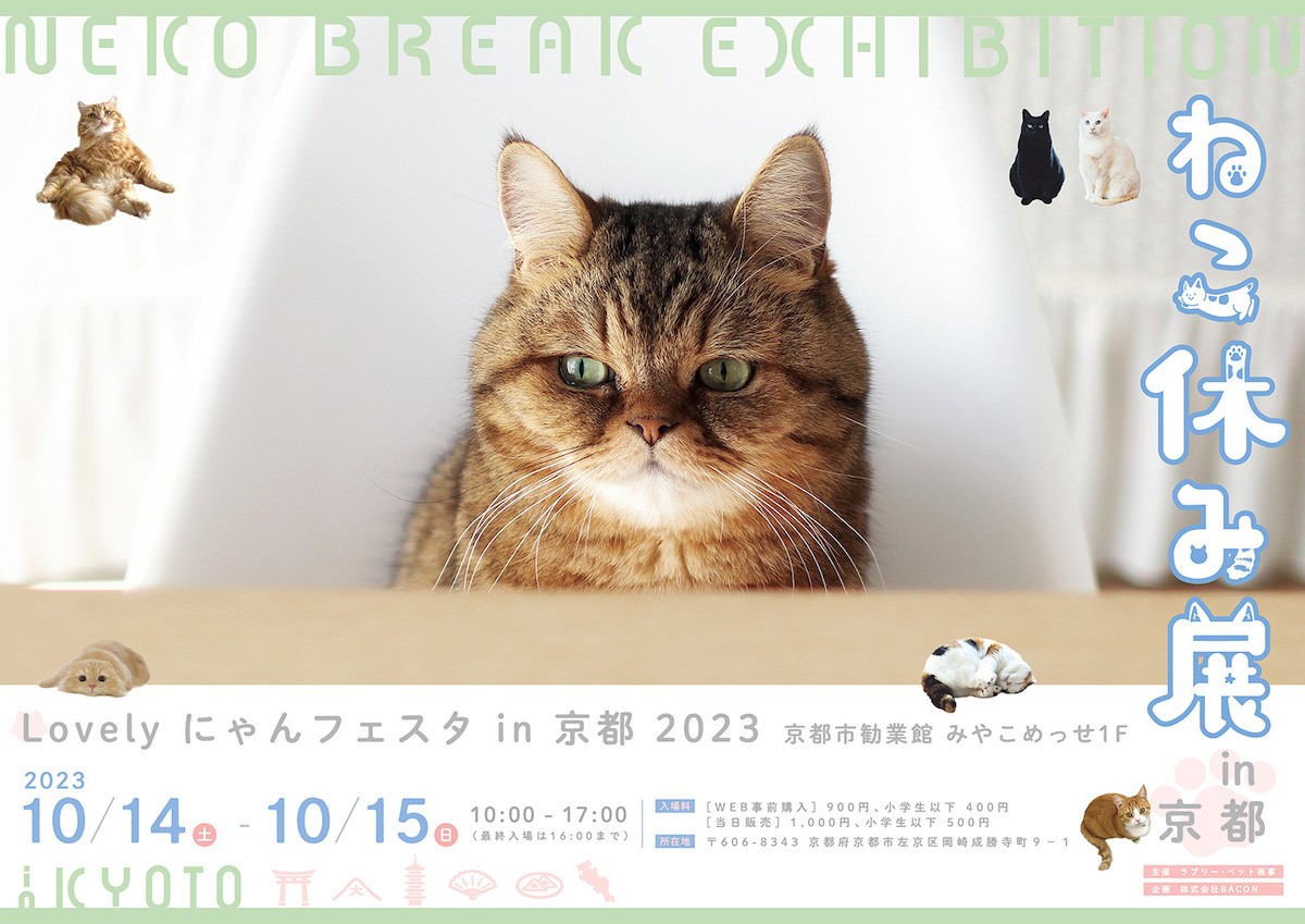 230913_ねこ休み展 in 京都