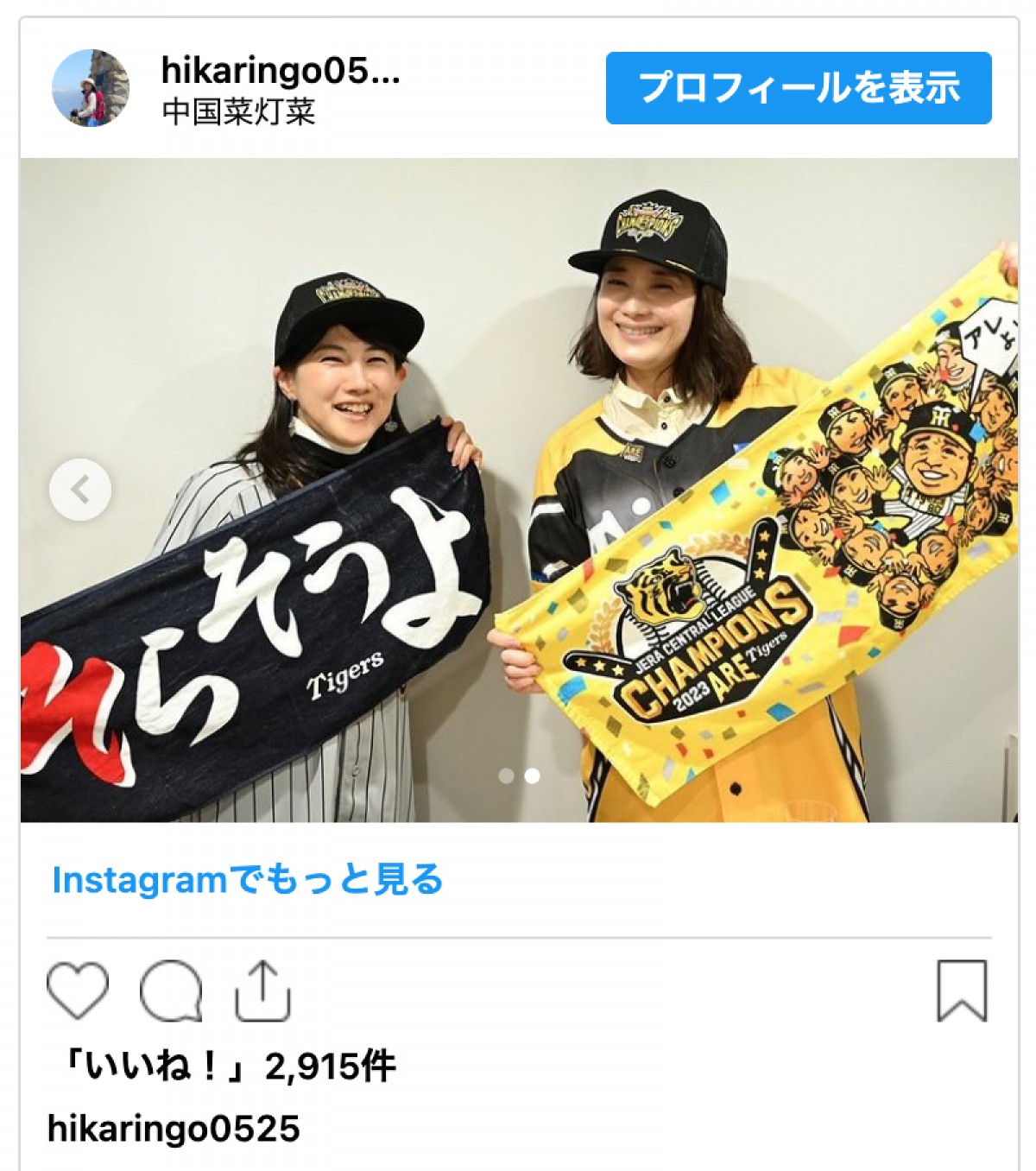 石田ひかり、才媛女優と「阪神タイガース祝勝会」を報告　変わらない美しさに反響