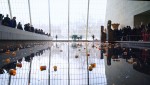 映画『美と殺戮のすべて』場面写真