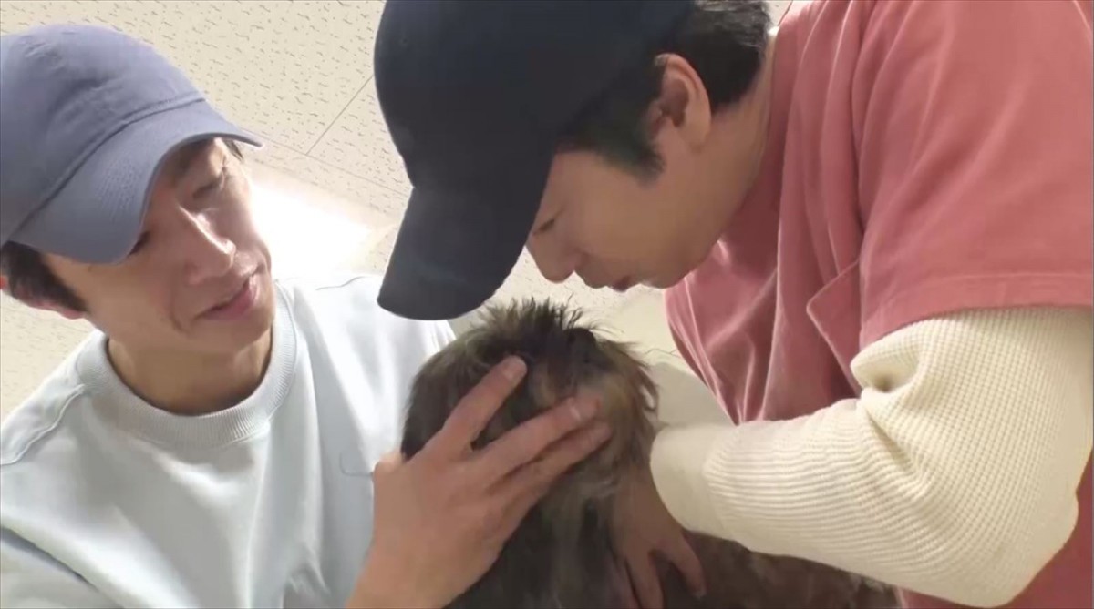 相葉雅紀＆櫻井翔が保護犬を一緒にトリミング！　今夜の『嗚呼!!みんなの動物園』