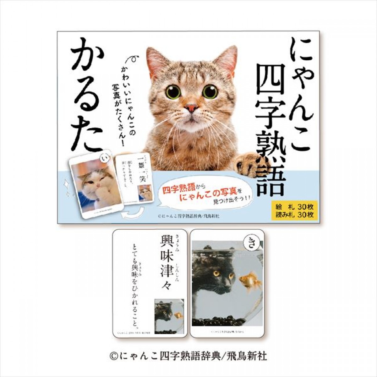 20240215 にゃんこ四字熟語グッズ