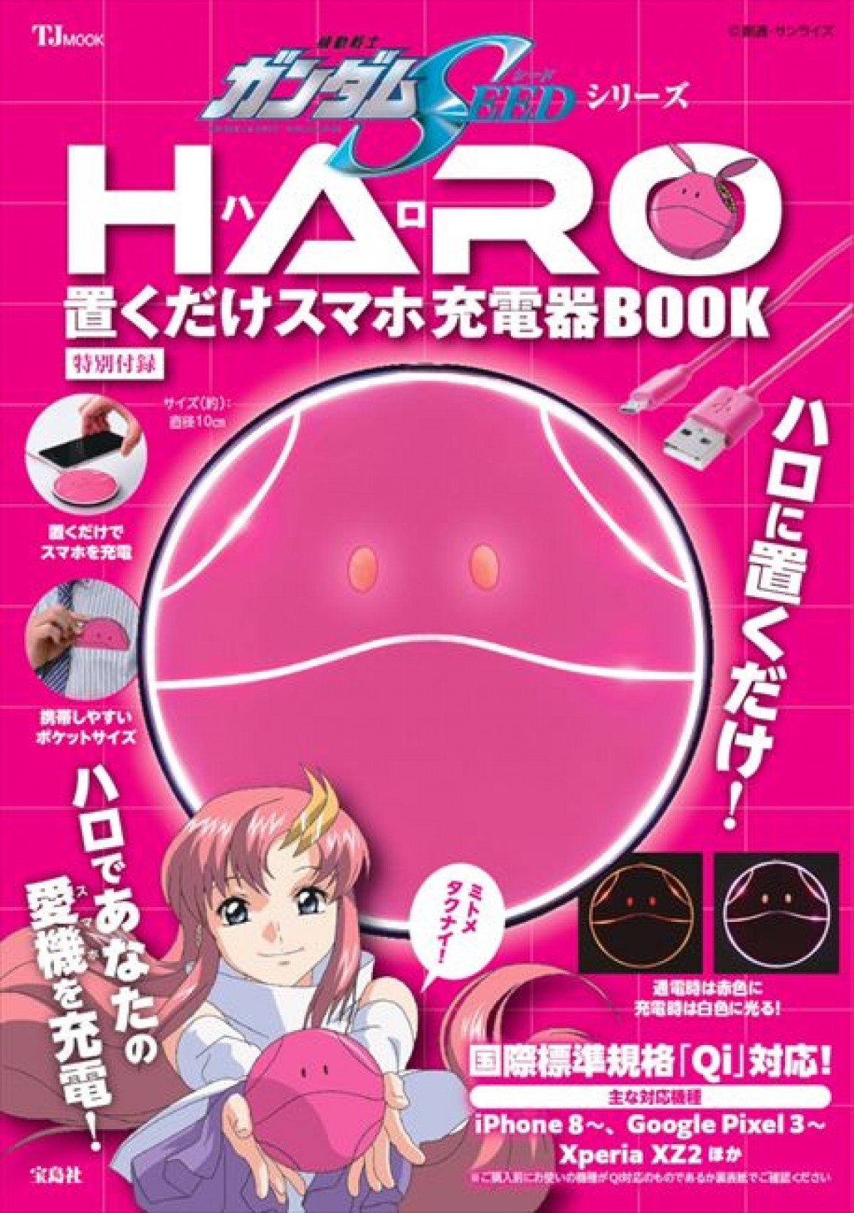 20240301 ハロ