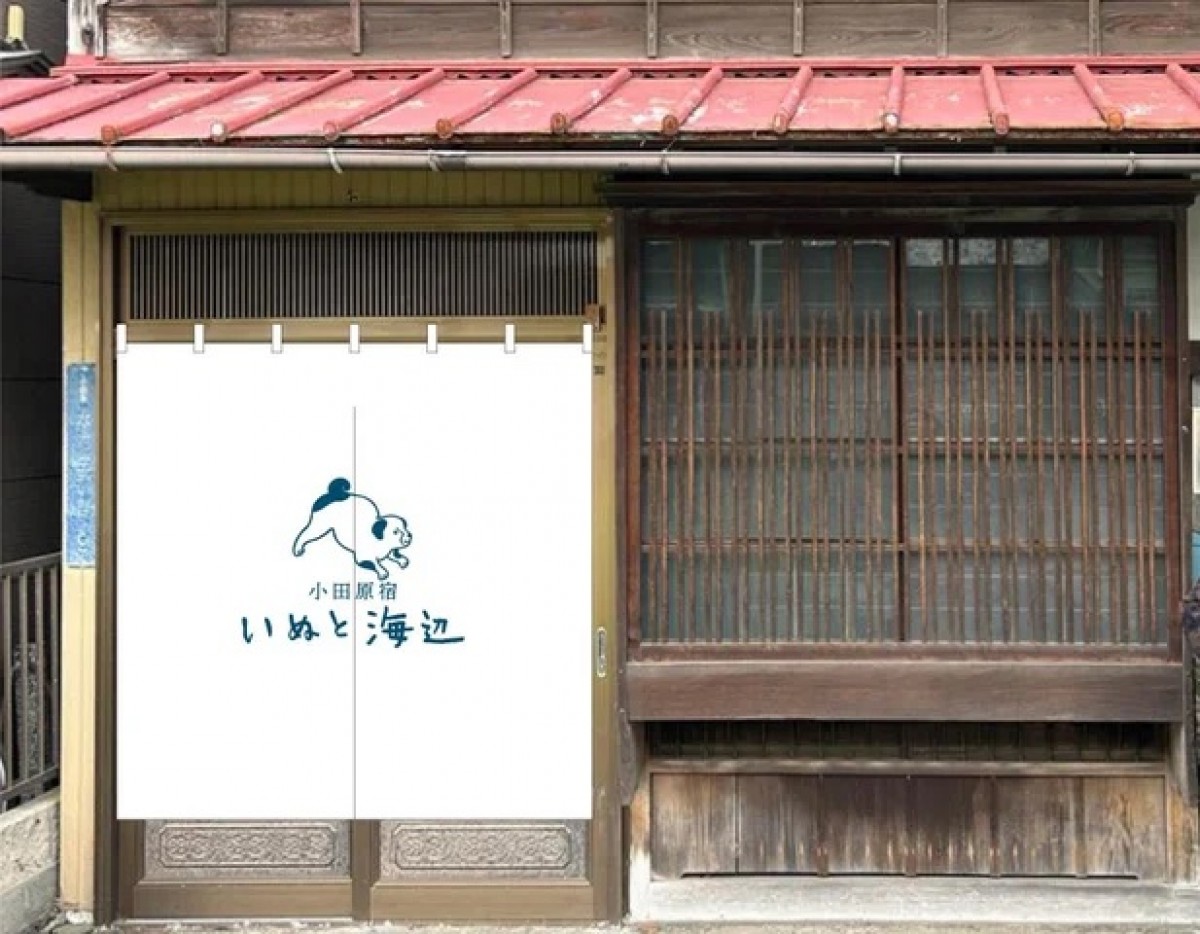 240305_いぬと海辺