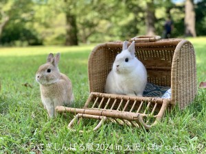20240425「うさぎしんぼる展 2024 in 大阪」