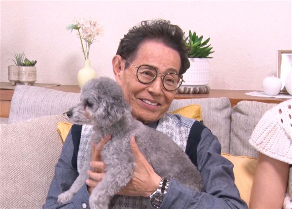 Snow Man・佐久間大介、猫カフェ参上！　『わんにゃん観察バラエティ アニマリング』で猫への愛が爆発