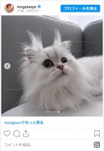 最上もが、筋トレ中の自撮りもかわいい　※「最上もが」インスタグラム