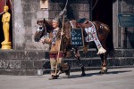 映画『ライド・オン』場面写真