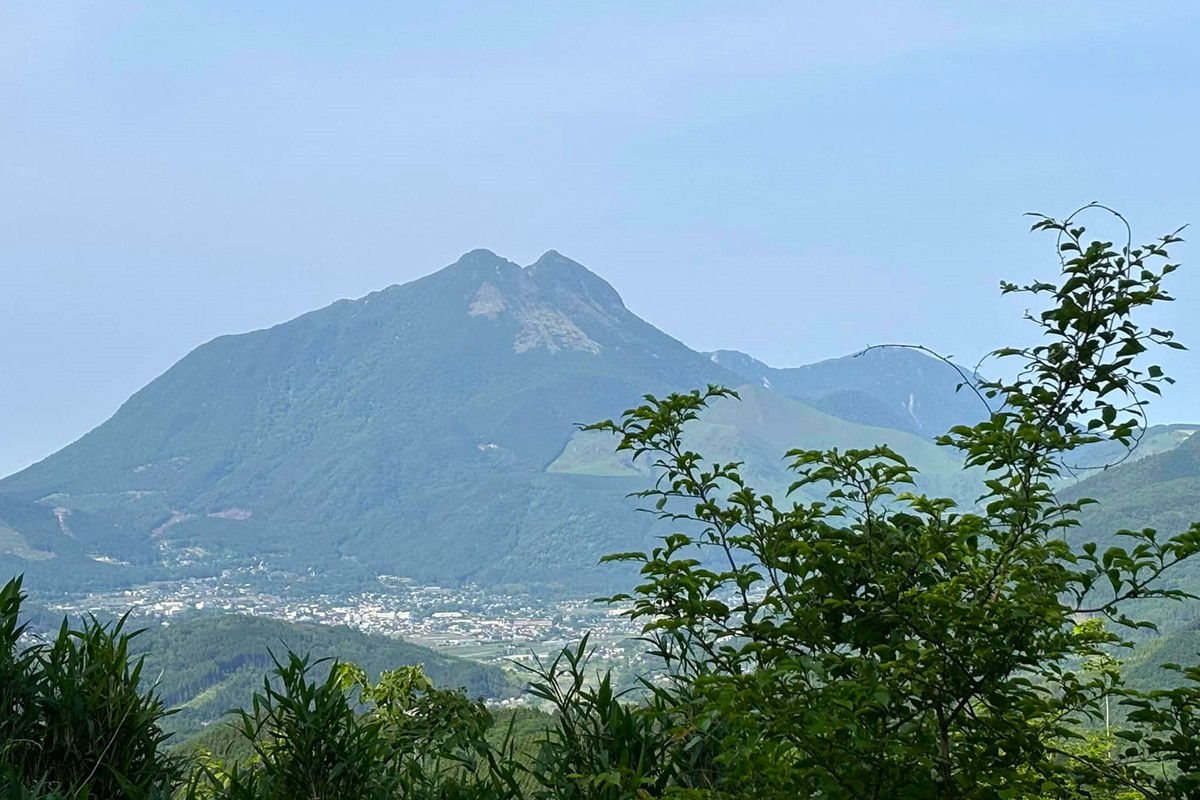 20240619「YUFUIN HOGONEKO FOREST」