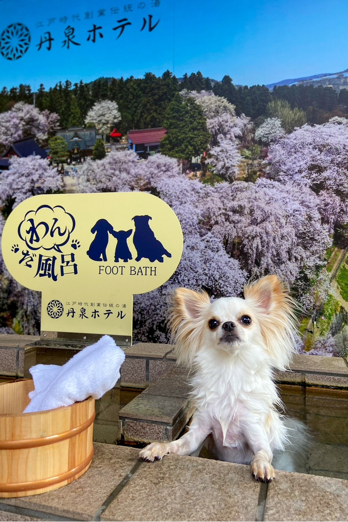 2024.7.19赤湯温泉旅館の丹泉ホテル