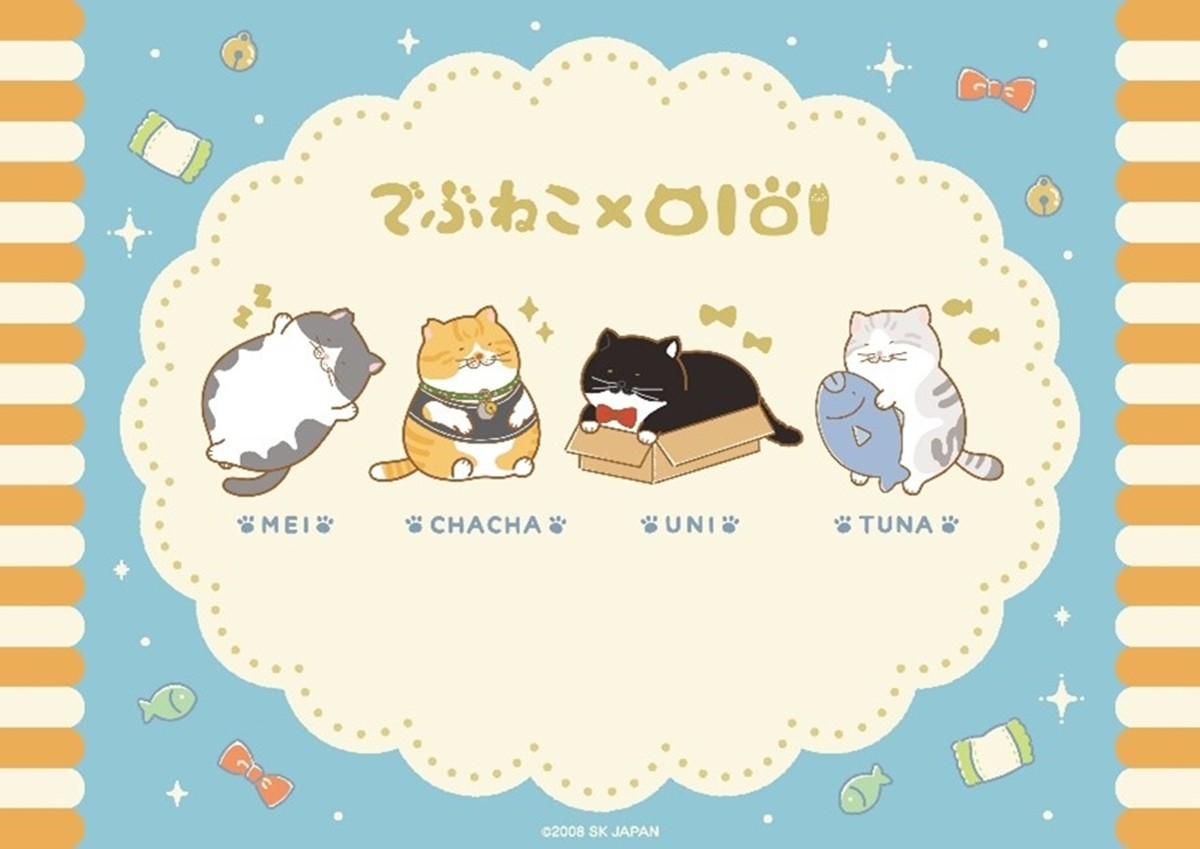 20240730「まるいねこフェス」