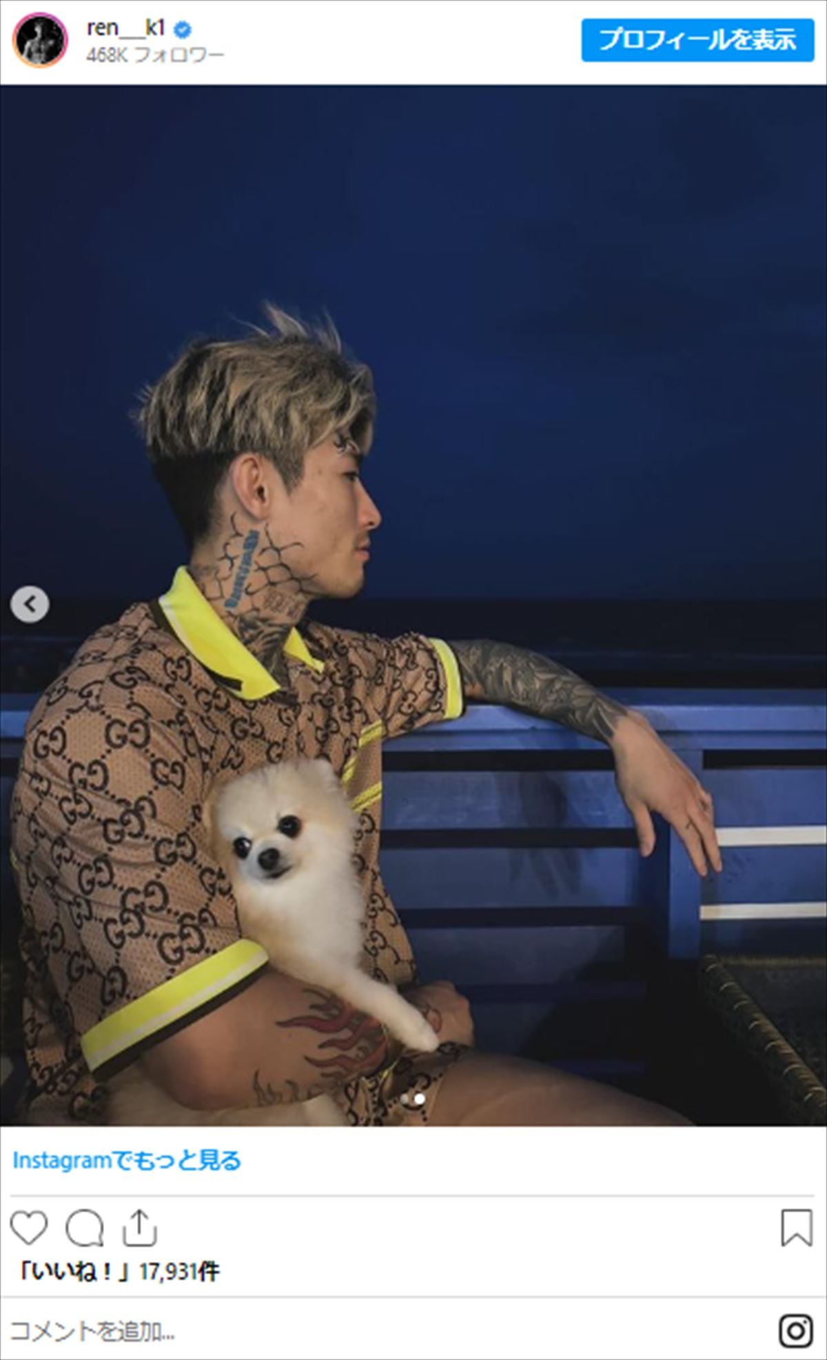 平本蓮、“全身グッチ”で愛犬と“海辺ショット”披露「応援してる」「蓮が主人公だよ」