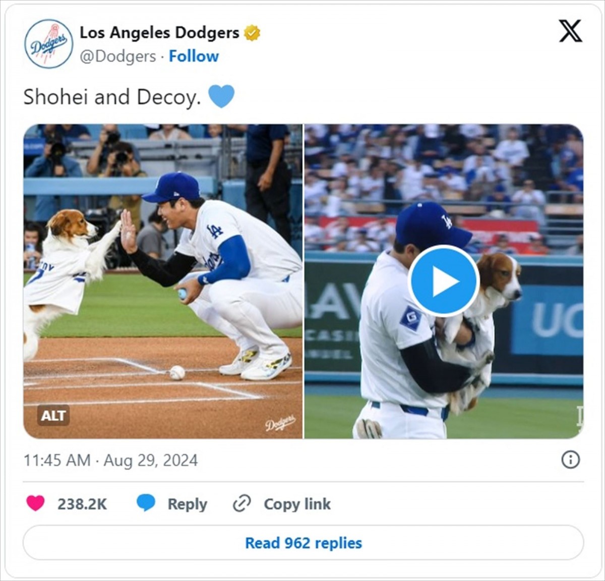 キュートすぎる大谷翔平の愛犬・デコピンまとめ「賢いねー」「肉球までも愛おしい」