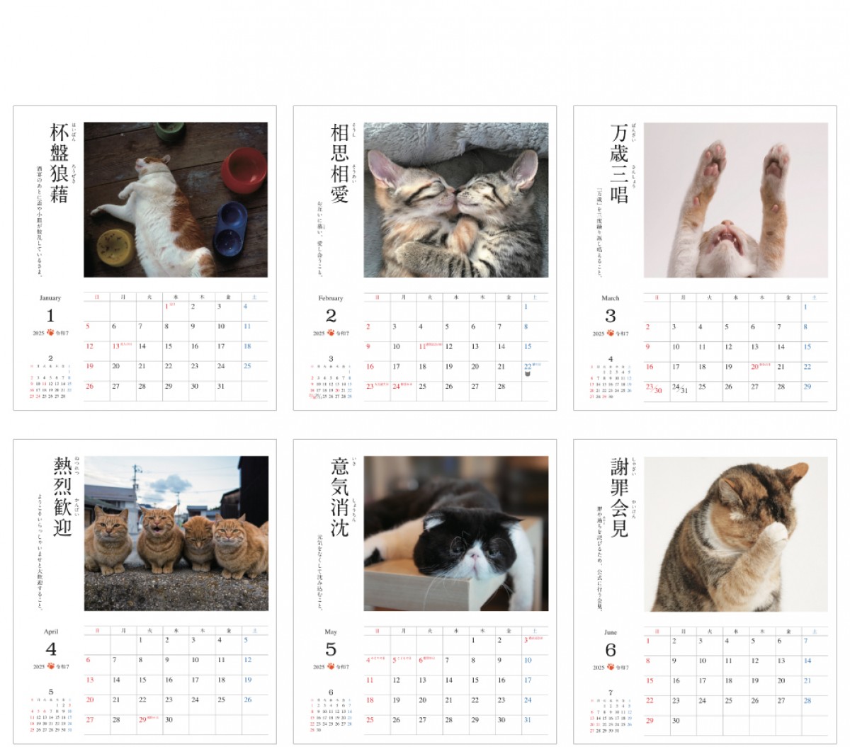 20240919 にゃんこ四字熟語辞典