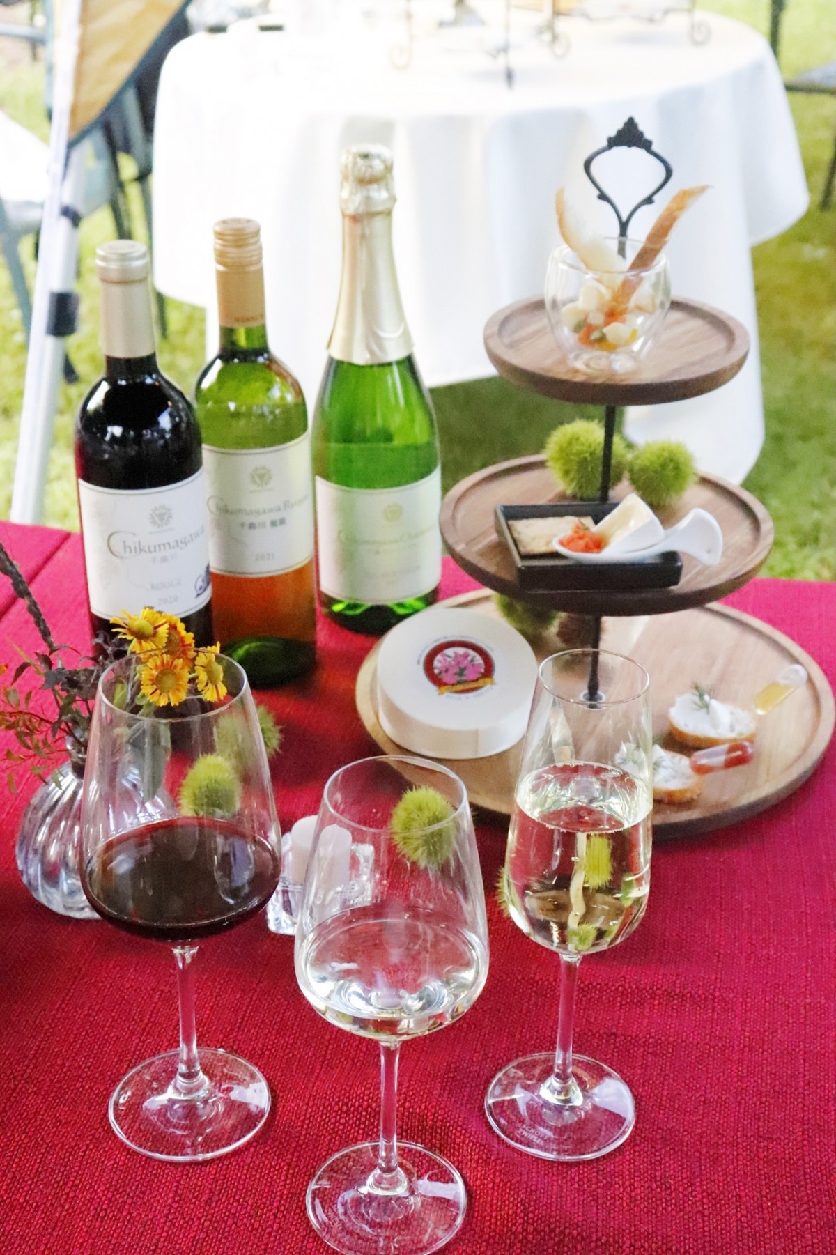 NAGANO WINE Discovery ～Autumn Garden Apero～