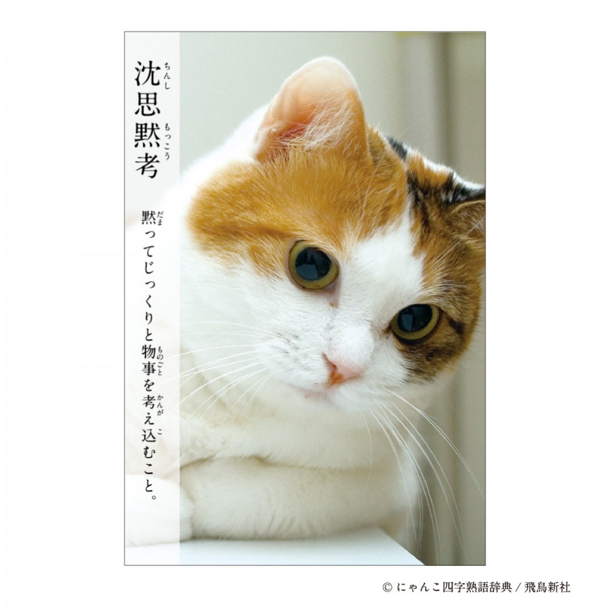 20240919 にゃんこ四字熟語辞典