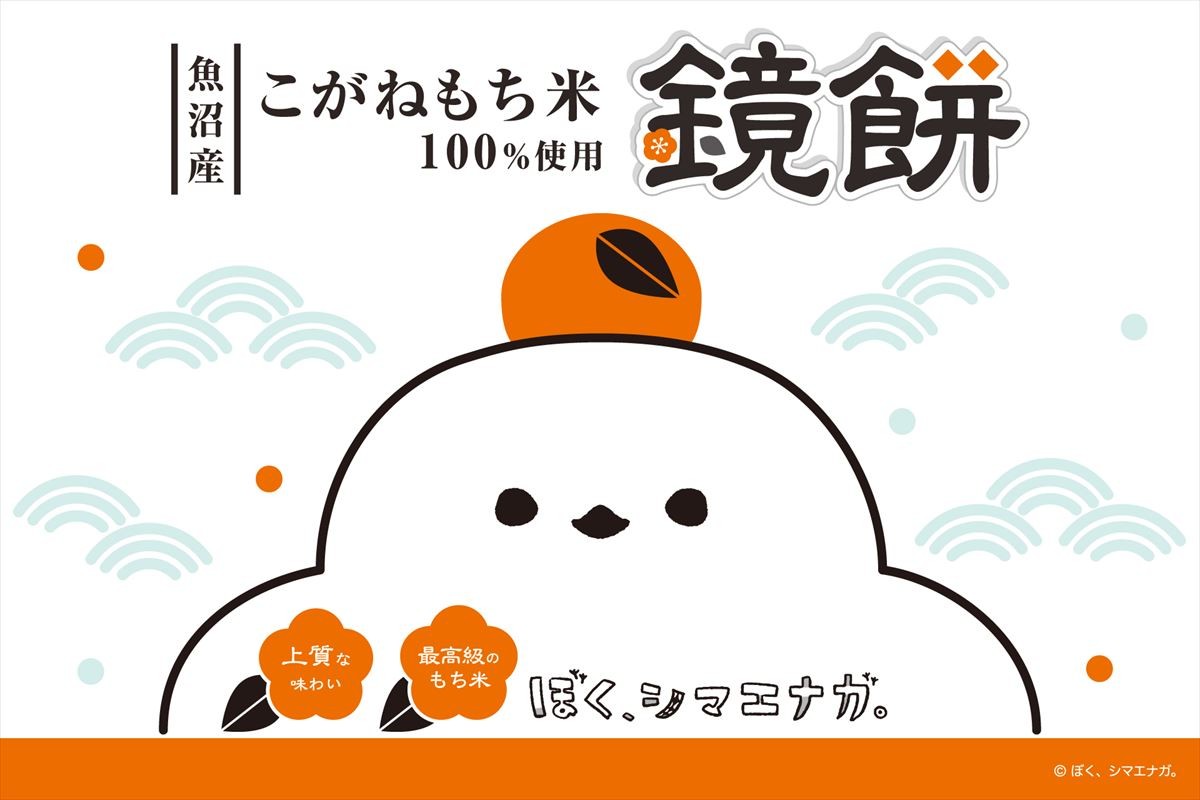 20241031 ぼく、シマエナガ。鏡餅