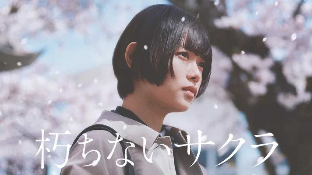 『朽ちないサクラ』U‐NEXTで配信!
