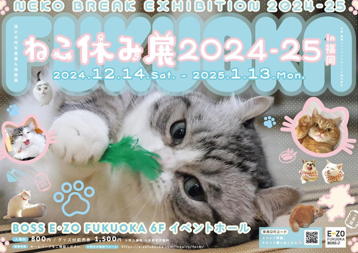 20241118「ねこ休み展 2024－25 in 福岡」