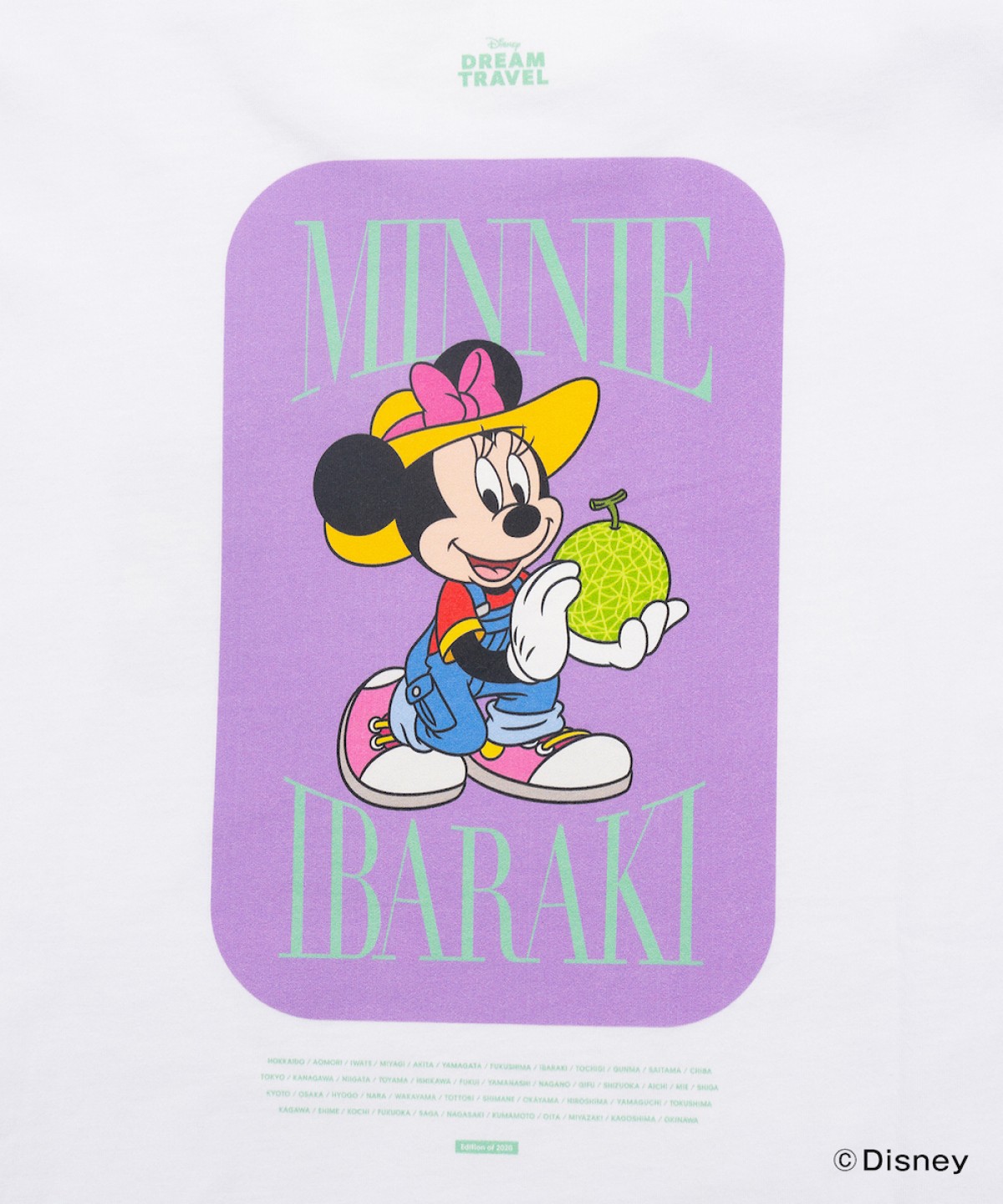 241213_ご当地ディズニーTシャツ