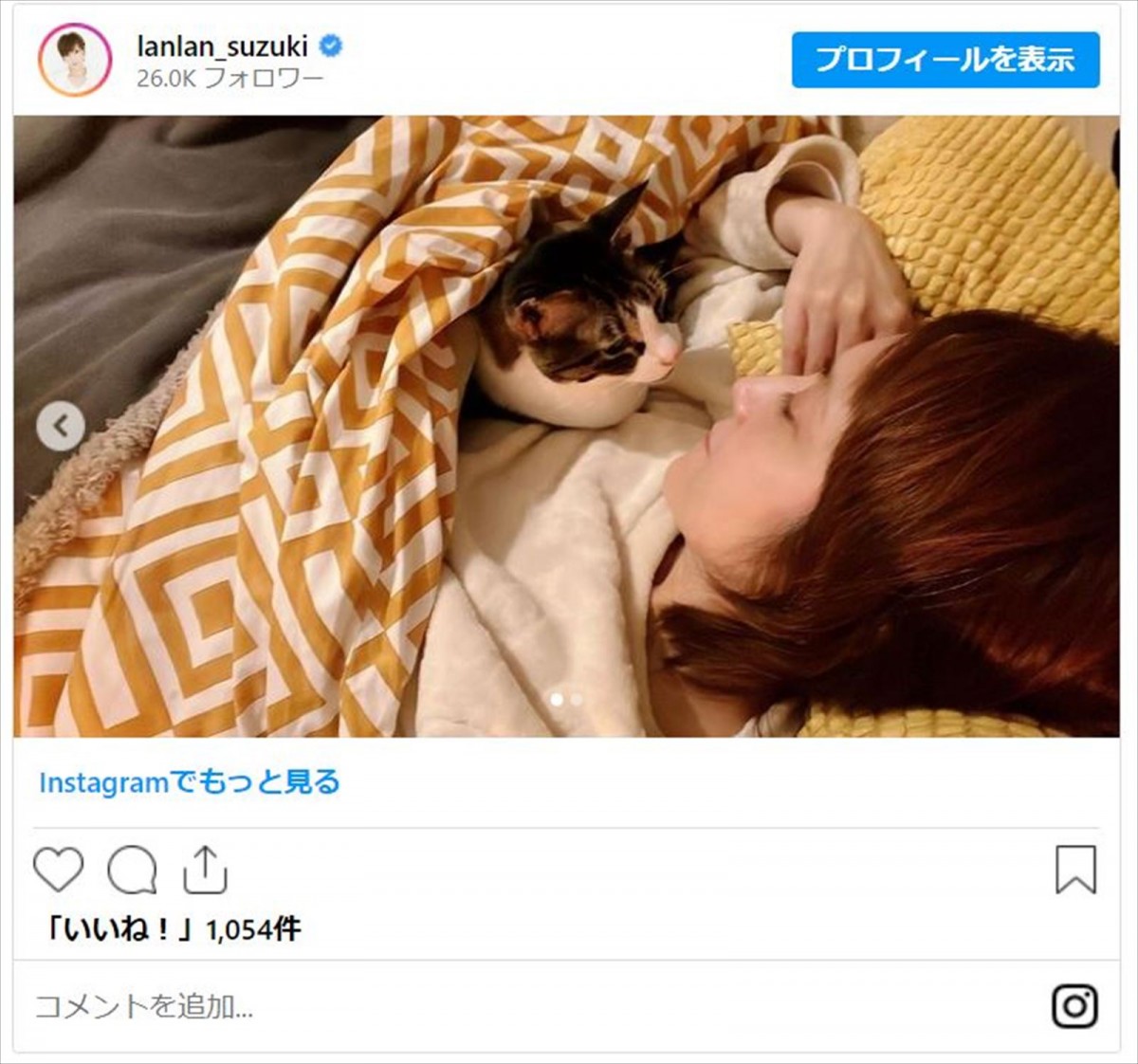 鈴木蘭々「新年から物凄く強烈に愛されてます」愛猫とラブラブ「羨ましい〜」「癒される」