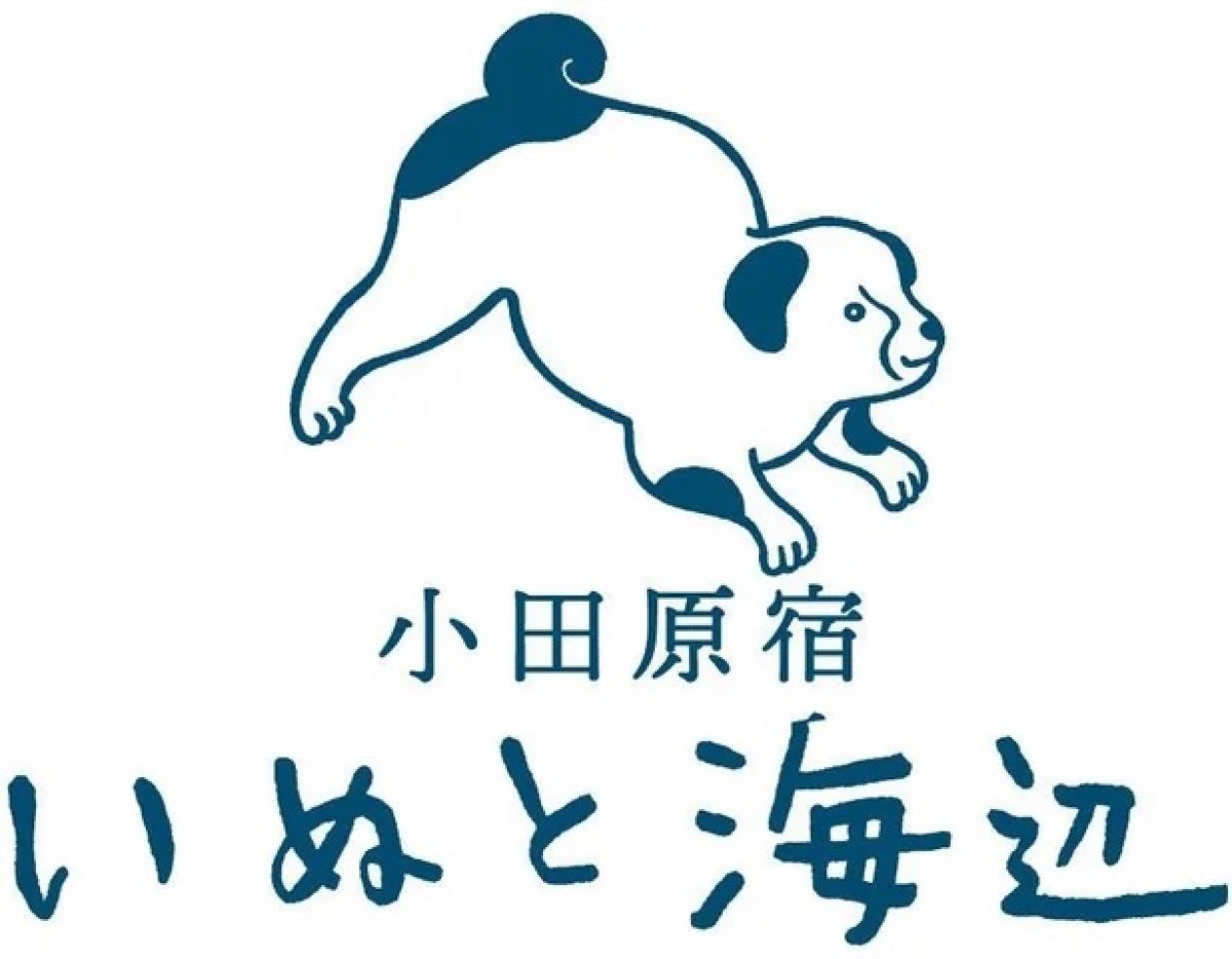 240305_いぬと海辺