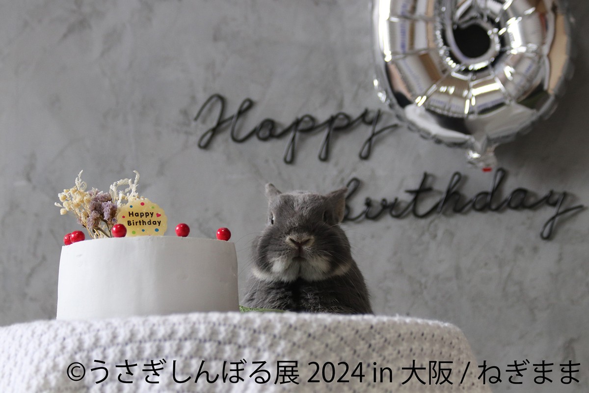 20240425「うさぎしんぼる展 2024 in 大阪」