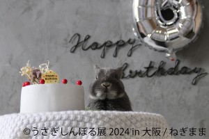 20240425「うさぎしんぼる展 2024 in 大阪」