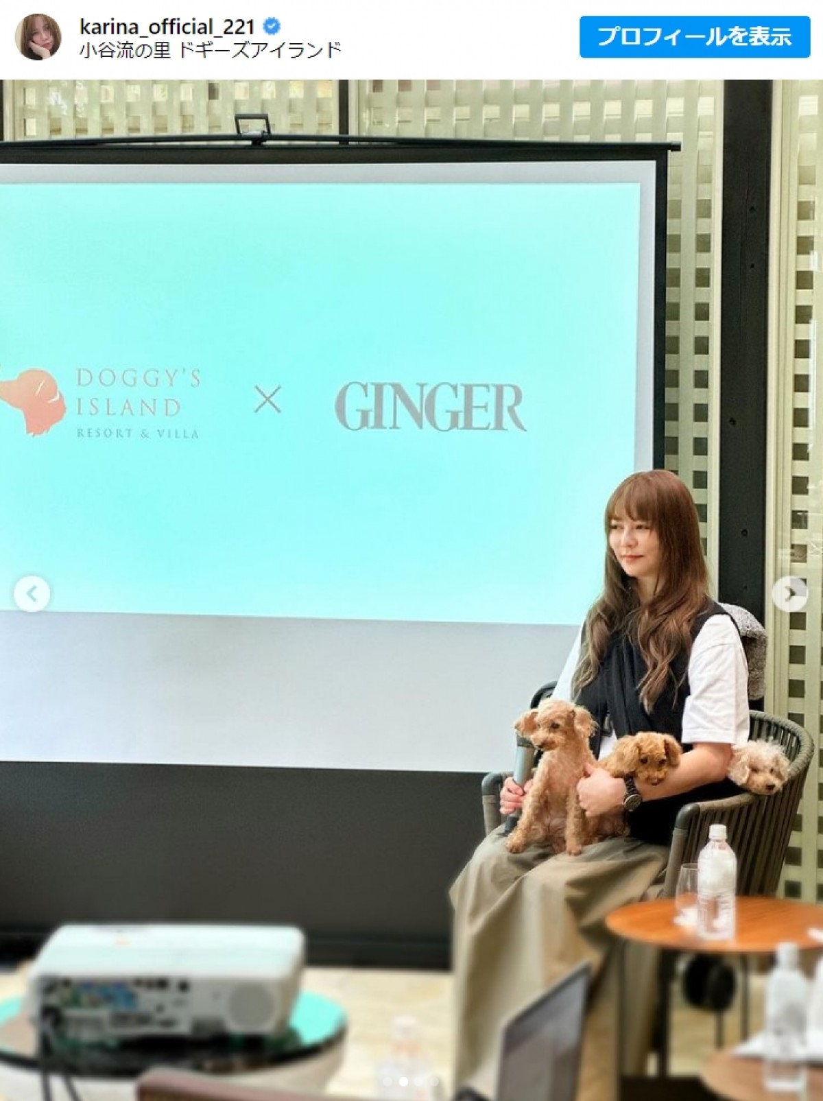 香里奈、愛犬たちとの近影に「相変わらず素敵」「まさに美女」とファン絶賛