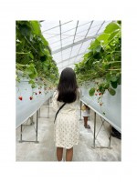 9歳長女といちご狩りに訪れた安めぐみ　※「安めぐみ」ブログ