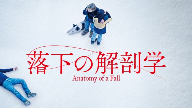 落下の解剖学のメインビジュアル