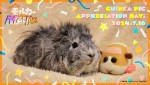 映画『PUI PUI モルカー ザ・ムービー MOLMAX』「モルモット感謝の日」ビジュアル