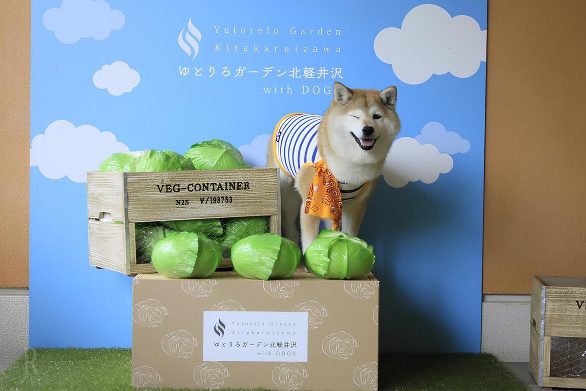 20240911「ゆとりろガーデン北軽井沢 with DOGS」