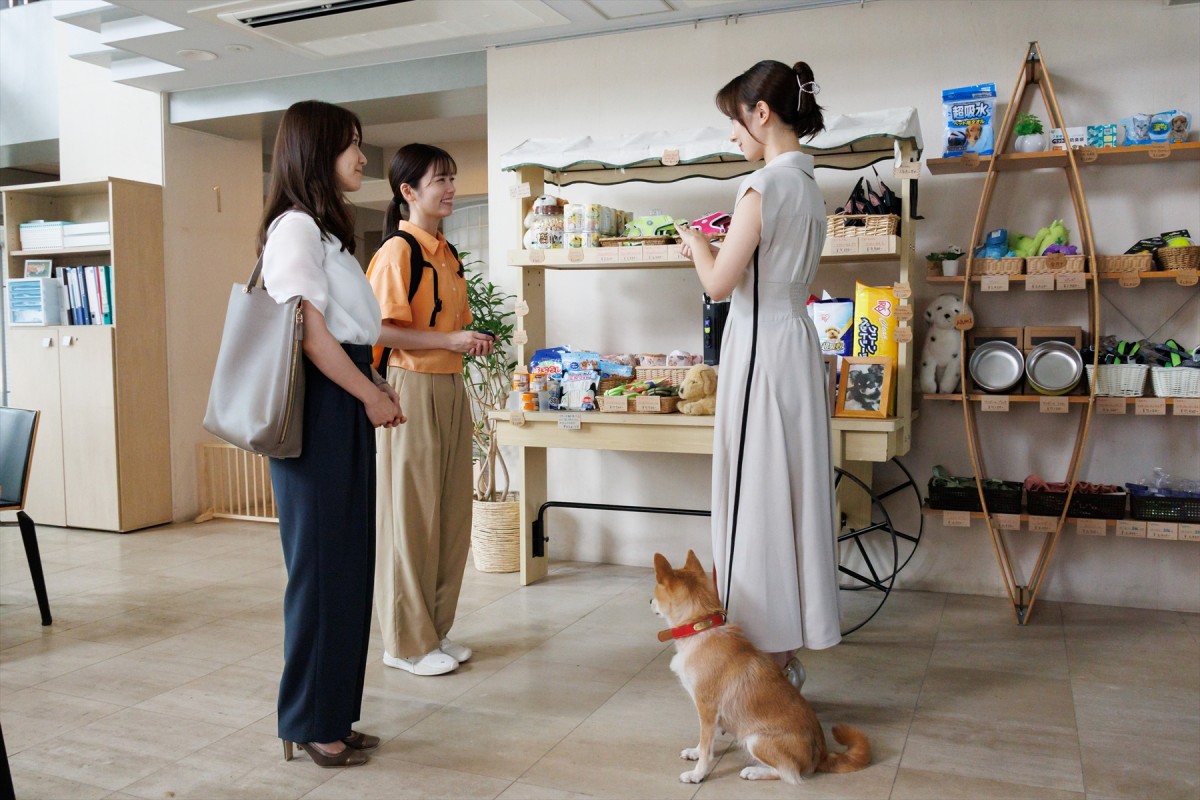 『GO HOME』第7話　“桜”小芝風花＆“真”大島優子ら身元不明相談室に“遺留犬”がやってくる