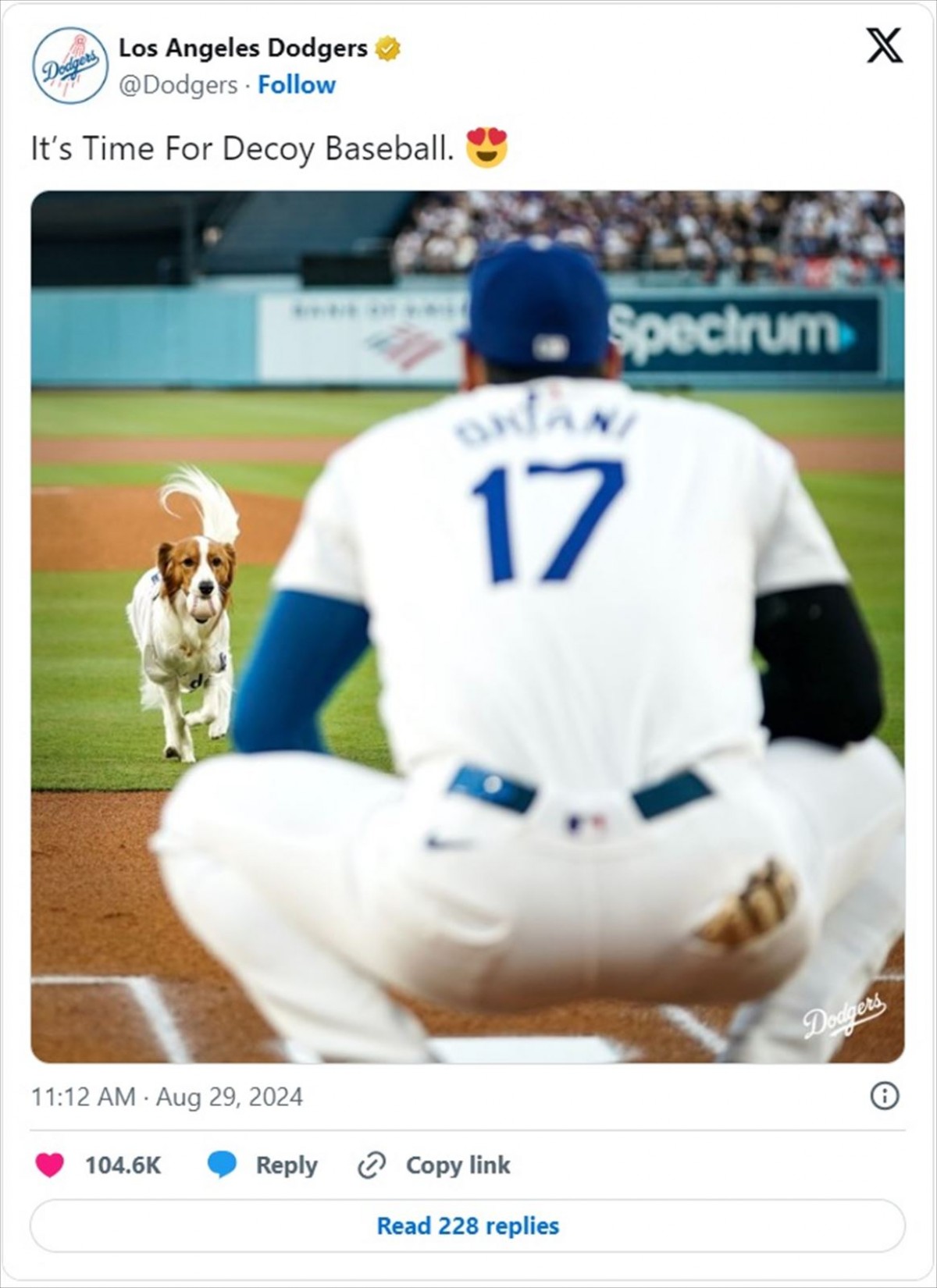 キュートすぎる大谷翔平の愛犬・デコピンまとめ「賢いねー」「肉球までも愛おしい」