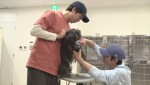 1月13日放送の『嗚呼!!みんなの動物園』より