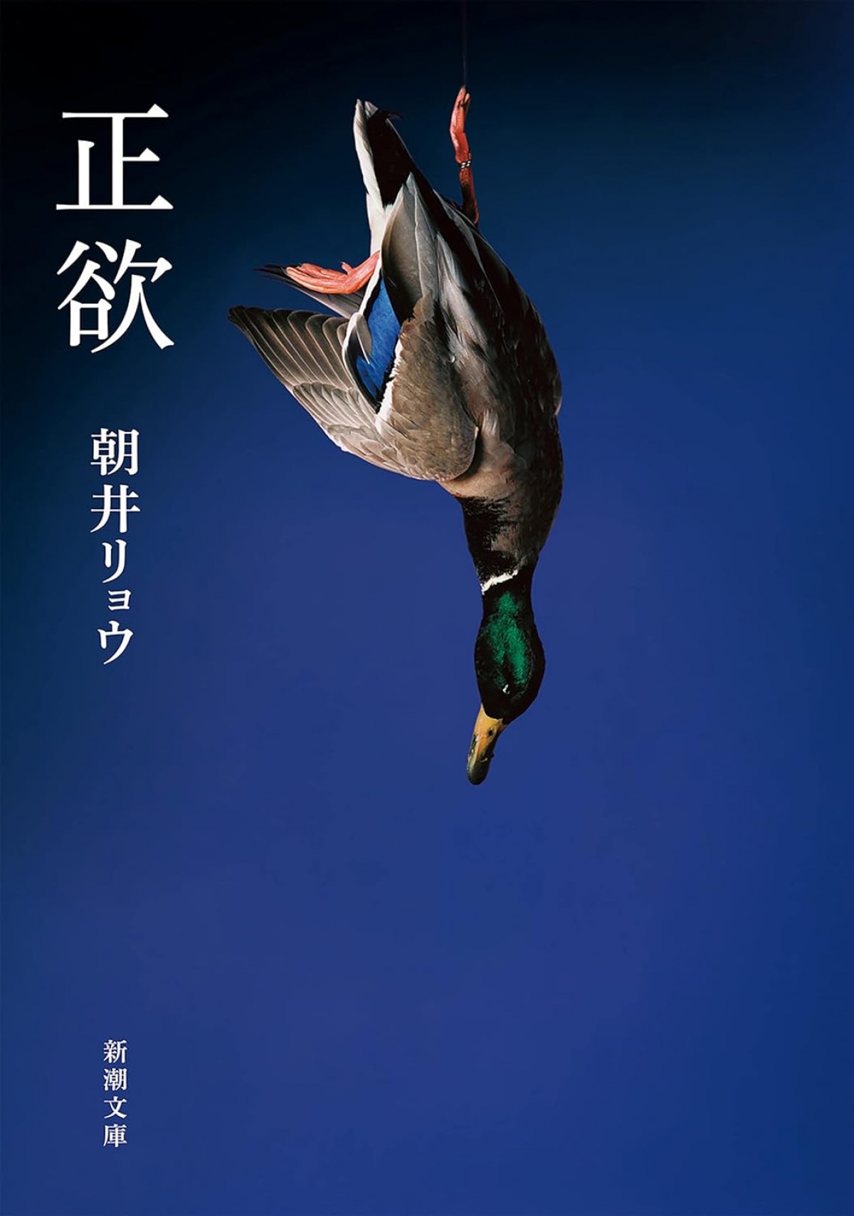 20240202_Amazon「本のまとめ買いキャンペーン」