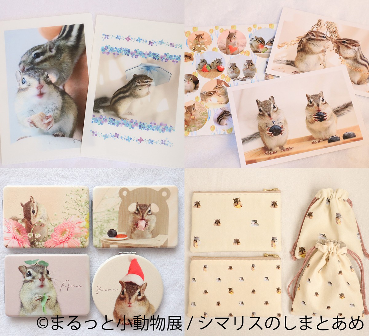 20240209「まるっと小動物展 2024 in 名古屋」