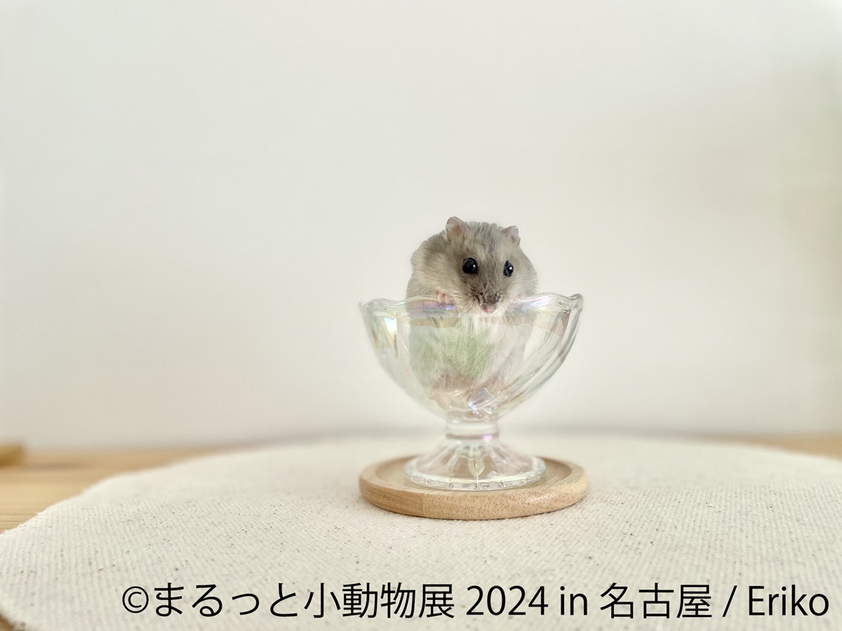 20240209「まるっと小動物展 2024 in 名古屋」