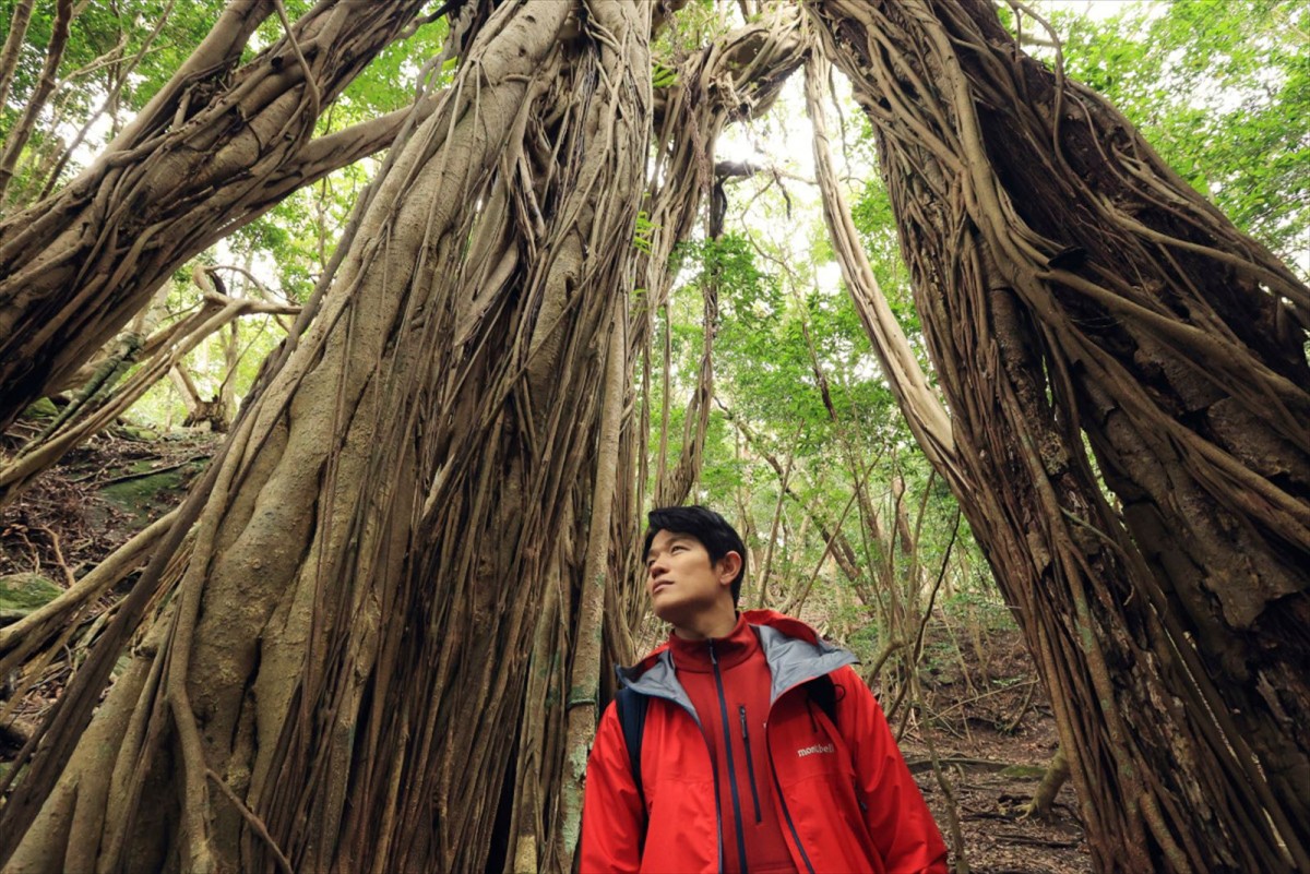 鈴木亮平、TBS『世界遺産』9代目ナレーションに！　番組初のナビゲーターにも挑戦